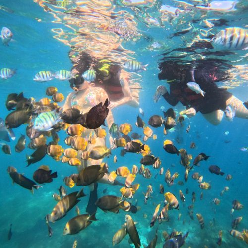 doel-rental-snorkeling-1