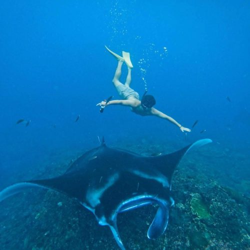 doel-rental-snorkeling-12