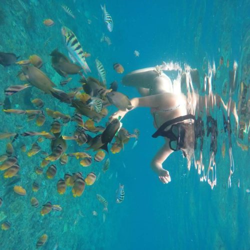 doel-rental-snorkeling-17