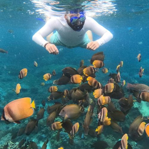 doel-rental-snorkeling-18