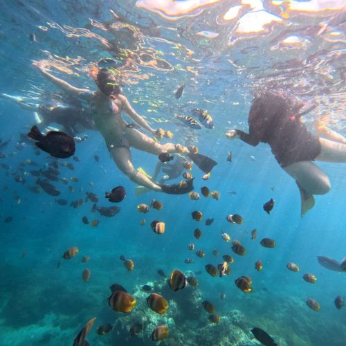 doel-rental-snorkeling-4
