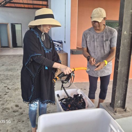 doel-rental-snorkeling-7