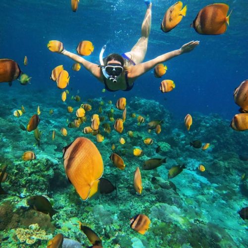 doel-rental-snorkeling-8